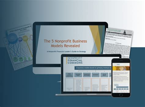The 5 Nonprofit Business Models Revealed: A .